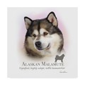 Trademark Fine Art Howard Robinson 'Alaskan Malamute' Canvas Art, 35x35 ALI24031-C3535GG